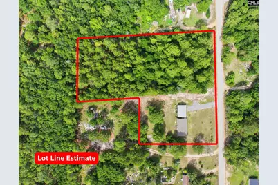 318 Catherine Drive, Pelion, SC 29123 - Photo 3