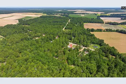 318 Catherine Drive, Pelion, SC 29123 - Photo 41