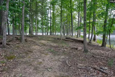 111 Tortoise Trail, Batesburg, SC 29006 - Photo 51