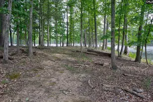 111 Tortoise Trail, Batesburg, SC 29006 - Photo 51