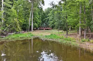111 Tortoise Trail, Batesburg, SC 29006 - Photo 3