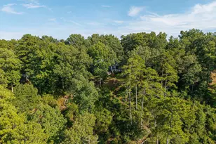 181 Saluda Bluff Rd, Batesburg, SC 29006 - Photo 41
