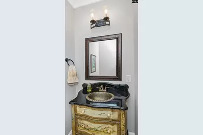 219 Hay Lee Drive, Chapin, SC 29036 - Photo 21