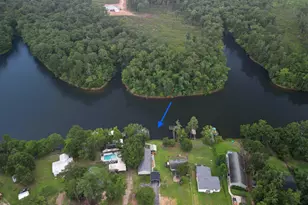 447 Payes Point, Leesville, SC 29070 - Photo 59