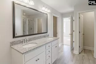 239 Doolittle Dr, Chapin, SC 29036 - Photo 11