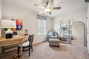 717 Feldspar Ct, Chapin, SC 29036 - Photo 25