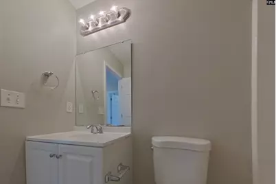 443 Laurel Mist Lane, West Columbia, SC 29170 - Photo 19