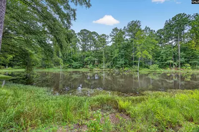 2309 Priceville Road, Gilbert, SC 29054 - Photo 35