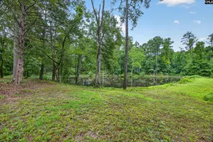 2309 Priceville Rd, Gilbert, SC 29054 - Photo 29