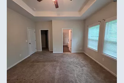 316 Dolly Horn Lane, Chapin, SC 29036 - Photo 9