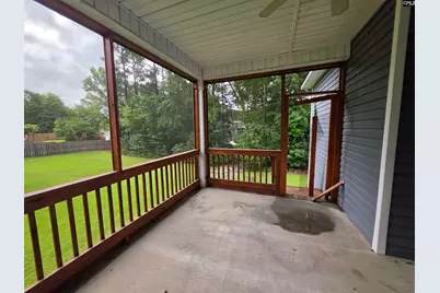 316 Dolly Horn Lane, Chapin, SC 29036 - Photo 11