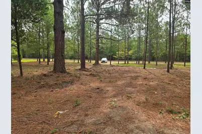 132 Elijah Lane, Pelion, SC 29123 - Photo 23