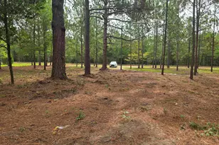132 Elijah Ln, Pelion, SC 29123 - Photo 23