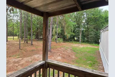 132 Elijah Lane, Pelion, SC 29123 - Photo 17