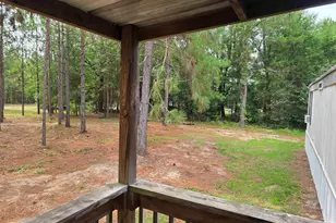 132 Elijah Ln, Pelion, SC 29123 - Photo 17