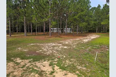 132 Elijah Lane, Pelion, SC 29123 - Photo 3