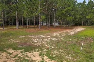 132 Elijah Ln, Pelion, SC 29123 - Photo 1
