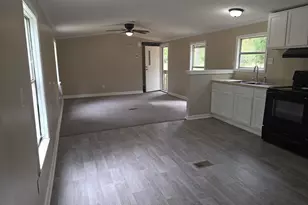132 Elijah Ln, Pelion, SC 29123 - Photo 5