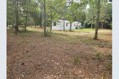 132 Elijah Lane, Pelion, SC 29123 - Photo 21