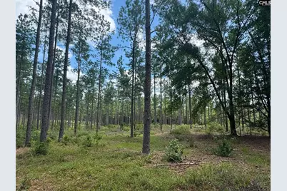 Beaver Creek Road #1, Swansea, SC 29160 - Photo 17