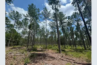 Beaver Creek Road #1, Swansea, SC 29160 - Photo 23