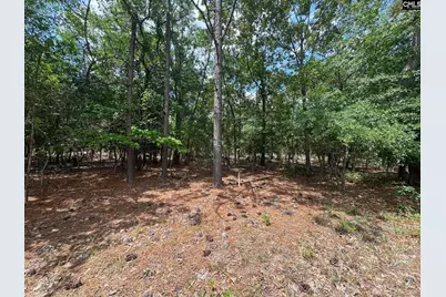 Beaver Creek Road #1, Swansea, SC 29160 - Photo 27
