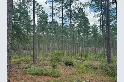 Beaver Creek Road #1, Swansea, SC 29160 - Photo 1
