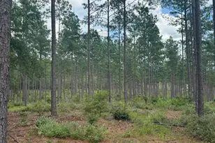 Beaver Creek Rd, Swansea, SC 29160 - Photo 1