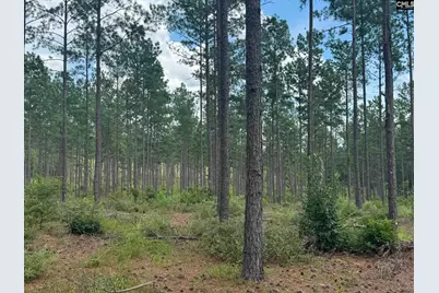 Beaver Creek Road #1, Swansea, SC 29160 - Photo 7