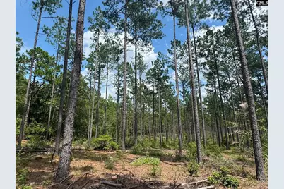 Beaver Creek Road #1, Swansea, SC 29160 - Photo 9