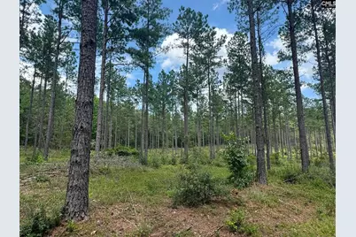 Beaver Creek Road #1, Swansea, SC 29160 - Photo 21