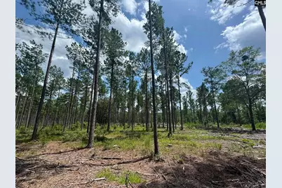 Beaver Creek Road #1, Swansea, SC 29160 - Photo 31
