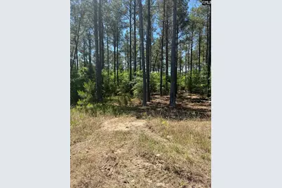 Sda 2 Salley Road #SDA 2, Salley, SC 29137 - Photo 11