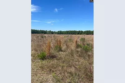 Sda 3 Salley Road #SDA 3, Salley, SC 29137 - Photo 13