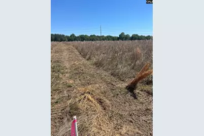 Sda 4 Salley Road #SDA 4, Salley, SC 29137 - Photo 3