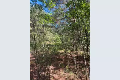 Sda 7 Salley Road #SDA 7, Salley, SC 29137 - Photo 7