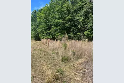 Sda 7 Salley Road #SDA 7, Salley, SC 29137 - Photo 3