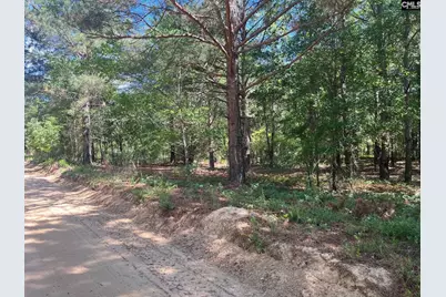Sda 7 Salley Road #SDA 7, Salley, SC 29137 - Photo 5