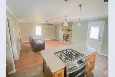 187 Condor Route, Lexington, SC 29073 - Photo 7