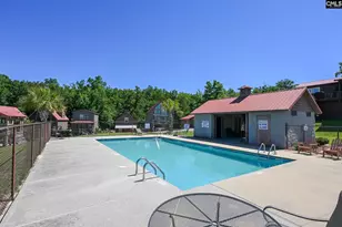 217 Marina Cove Dr, Gilbert, SC 29054 - Photo 37