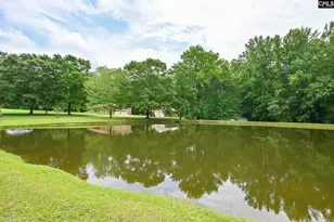 1941 Ray Price Rd, Leesville, SC 29070 - Photo 37