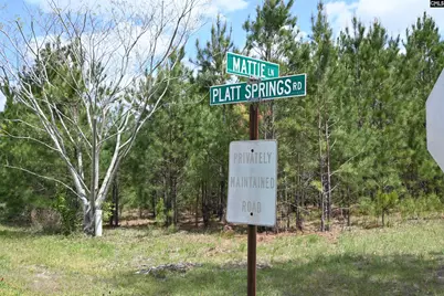 0 Platt Springs Road, West Columbia, SC 29169 - Photo 23