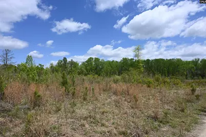 0 Platt Springs Road, West Columbia, SC 29169 - Photo 7