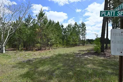 0 Platt Springs Road, West Columbia, SC 29169 - Photo 15