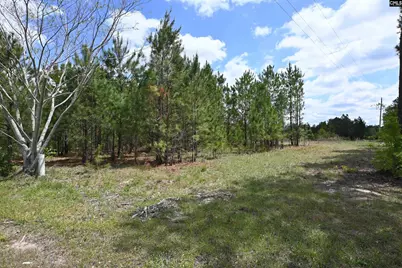 0 Platt Springs Road, West Columbia, SC 29169 - Photo 17