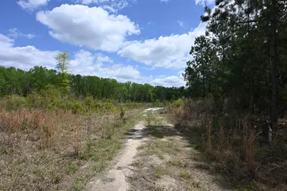 0 Platt Springs Road, West Columbia, SC 29169 - Photo 9
