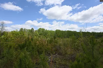 0 Platt Springs Road, West Columbia, SC 29169 - Photo 5