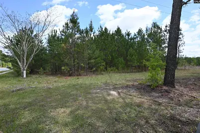 0 Platt Springs Road, West Columbia, SC 29169 - Photo 13