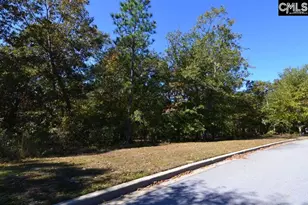 121 Montgomery Ridge Ln 4, Blythewood, SC 29016 - Photo 3