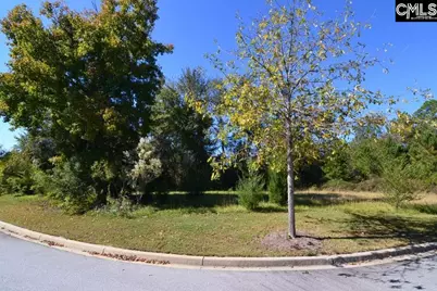15 Blythe View Court 9 #9, Blythewood, SC 29016 - Photo 3